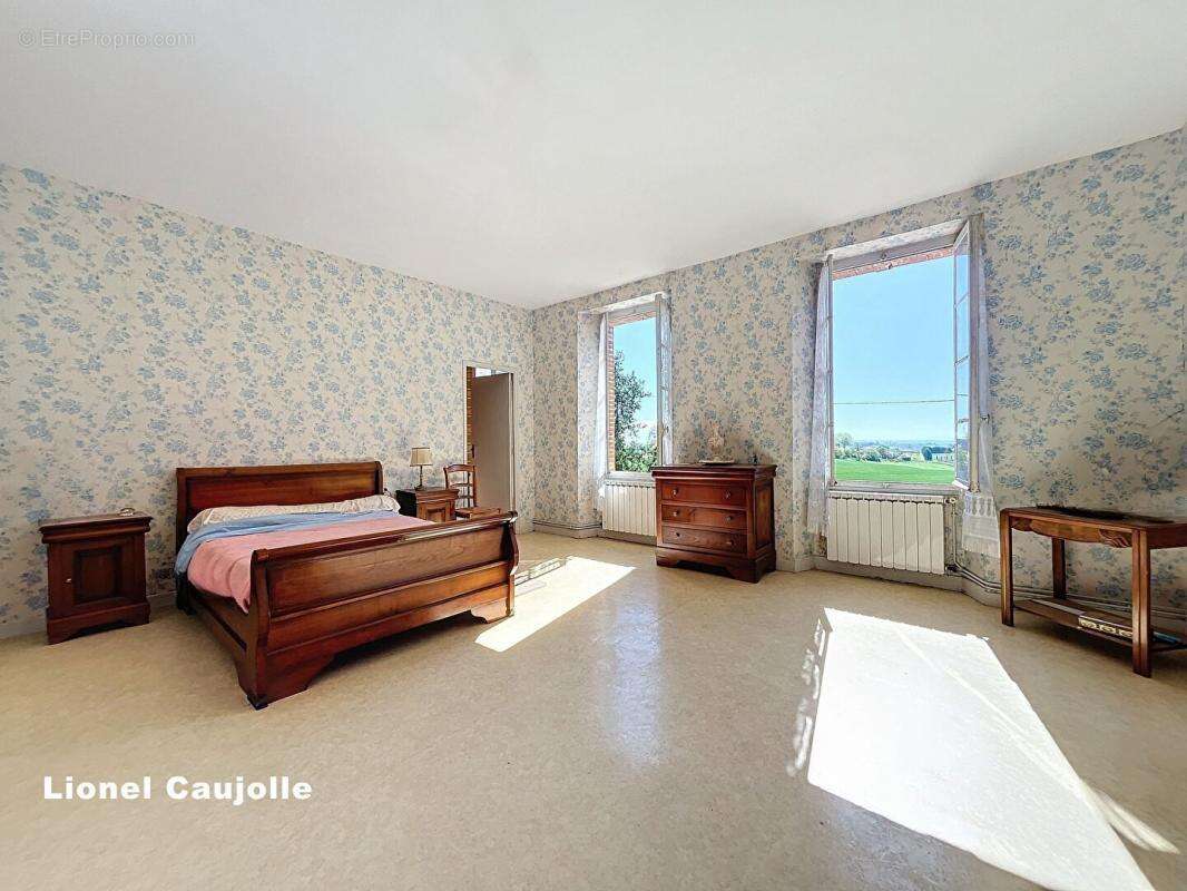 Maison de maître 295 m2 et dépendance à Rabastens - photo 11