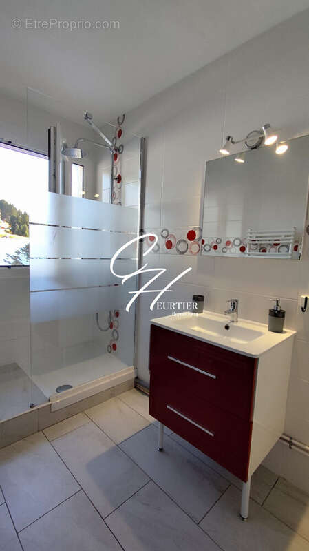 Appartement à ALLEVARD