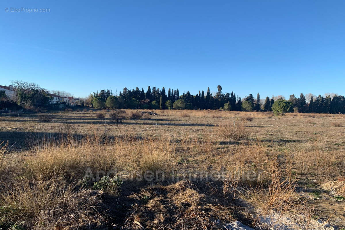 Terrain à PALAU-DEL-VIDRE