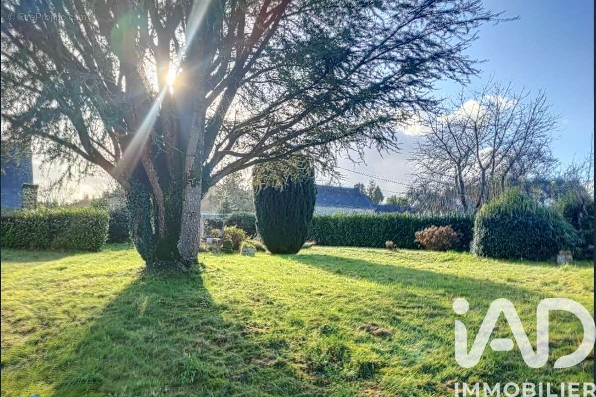 Photo 3 - Maison à BERNE