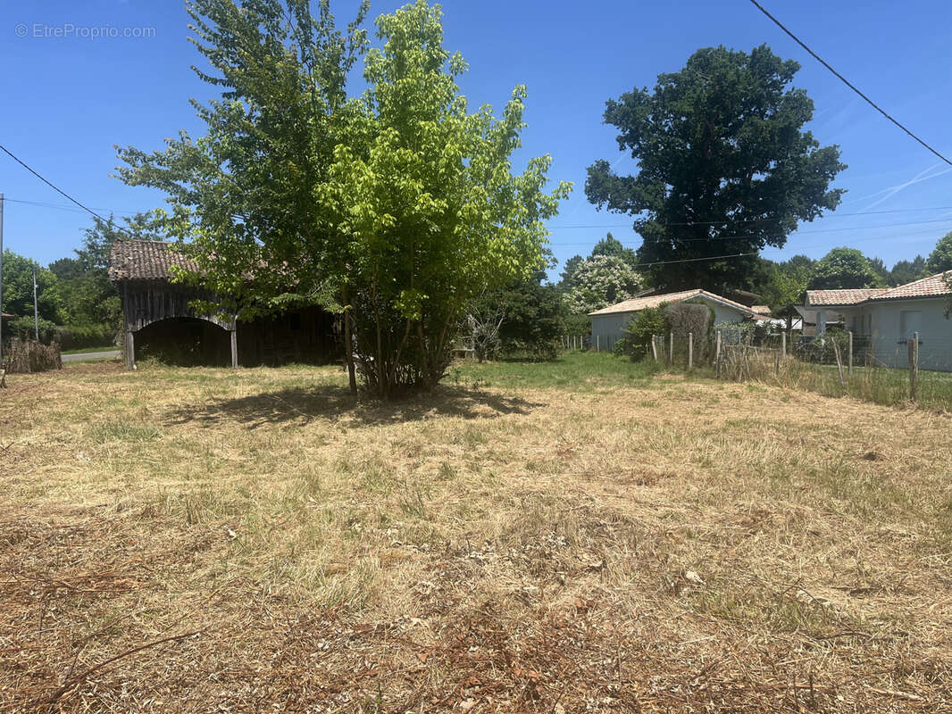 Terrain à SALLES