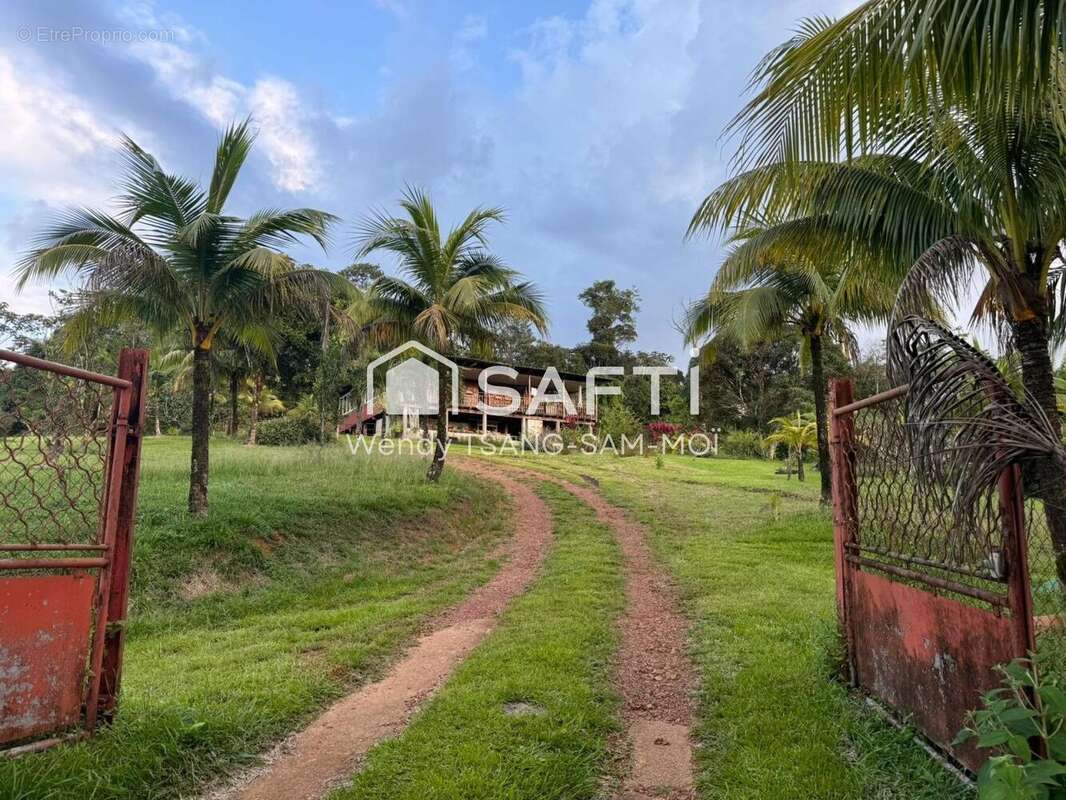 Photo 2 - Maison à ROURA