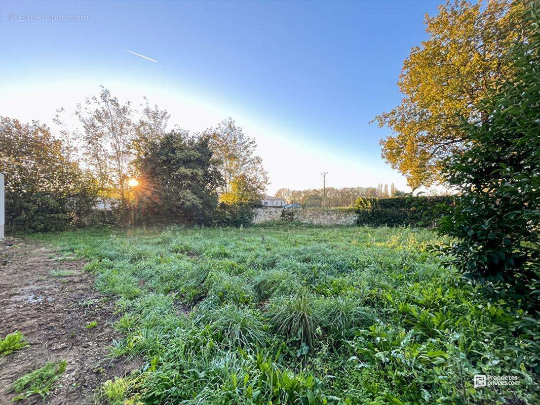 Terrain à SAINT-ANDRE-DE-CUBZAC