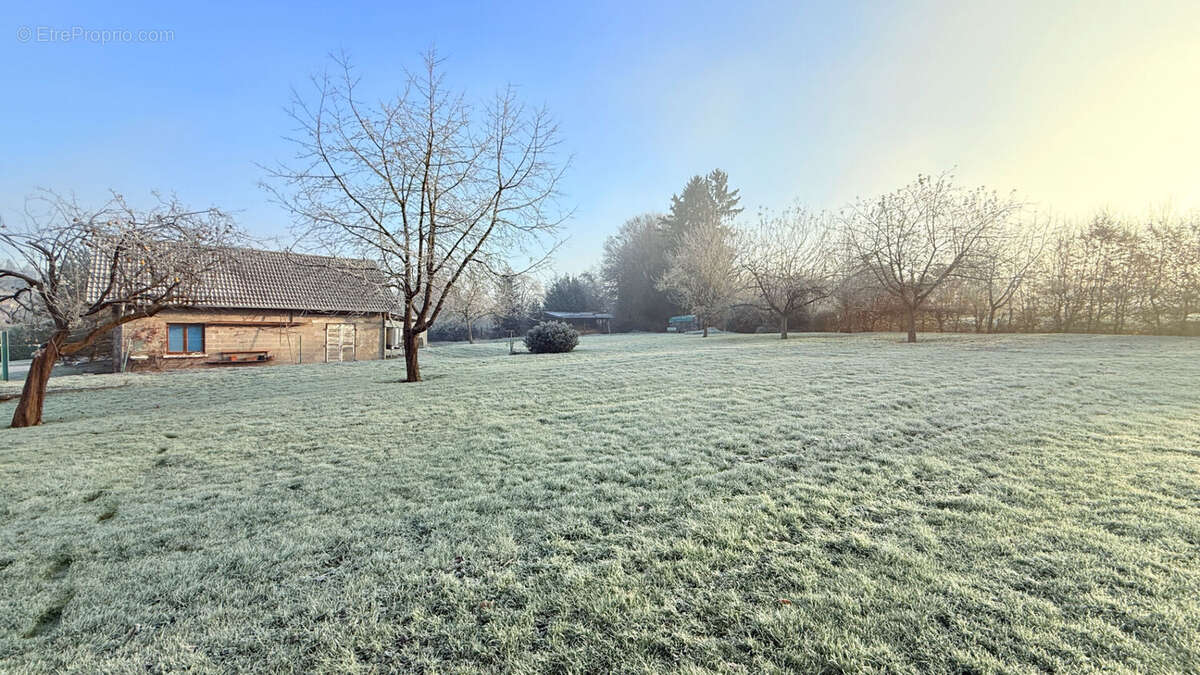 Maison à MENIL-SUR-BELVITTE