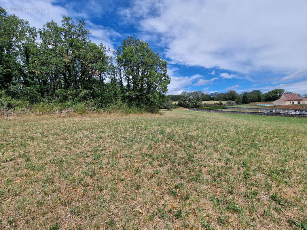 Nadaillac Terrain constructible de 1.2 Hectare - photo 3