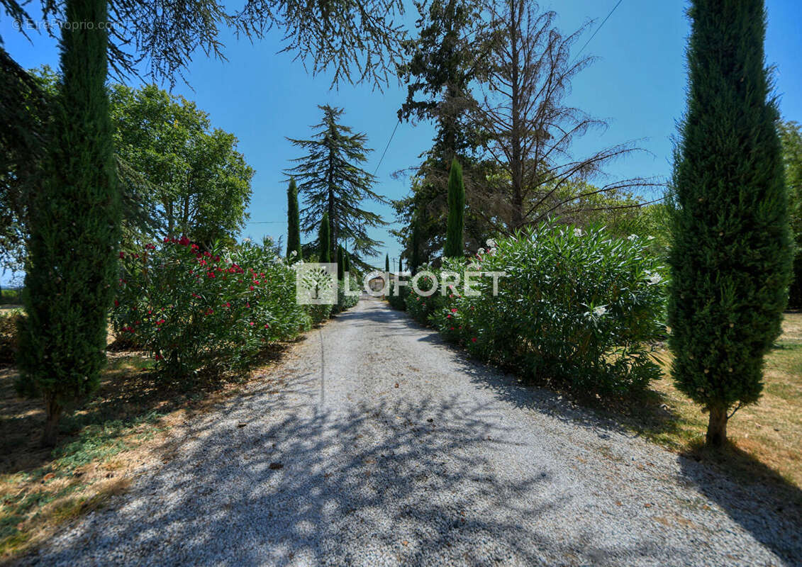 Maison de maitre avec gîte et dependances a vendre a lisle-sur-tarn - photo 15