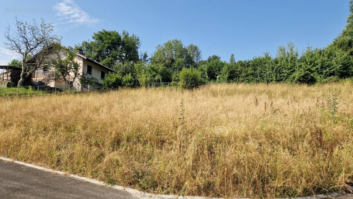 Terrain à LORNAY
