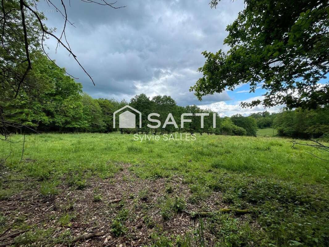 Photo 4 - Terrain à LOUBEJAC