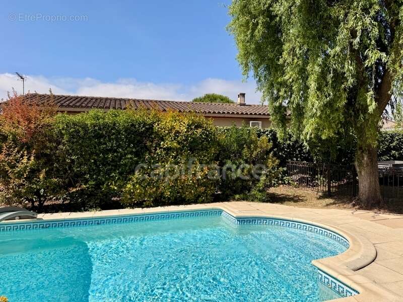 Maison de Maitre CARCASSONNE sur 233m2 habitables , 5 chambres, garage, piscine terrain 1100m2 - photo 3
