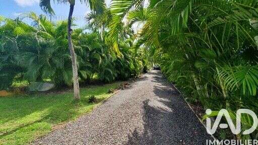 Photo 3 - Maison à SAINT-FRANCOIS