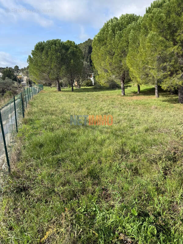 Terrain constructible Clermont l'Hérault - photo 6