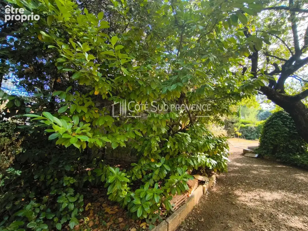 Terrain constructible a saint didier - photo 2