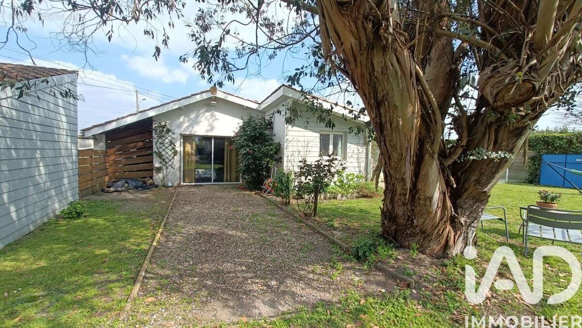 Photo 4 - Maison à MARGAUX