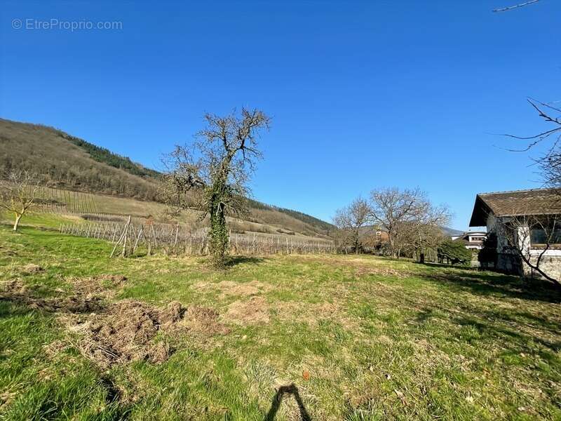 Terrain à CHATENOIS