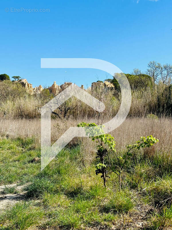 Terrain à ILLE-SUR-TET
