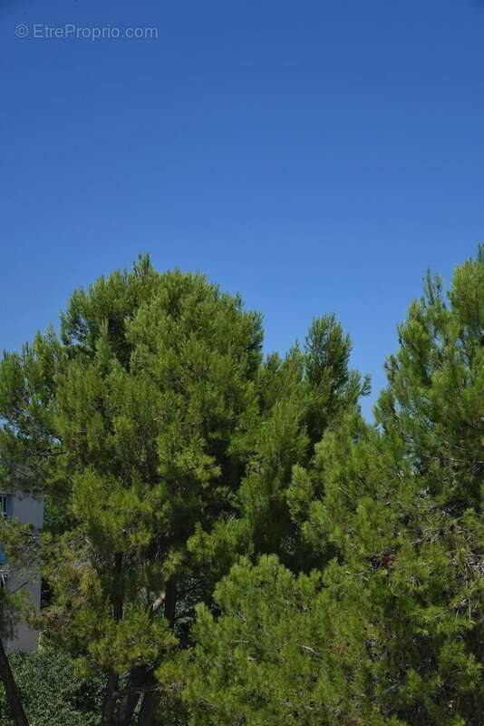 Appartement Uzès, centre-ville à pied, garage - photo 15