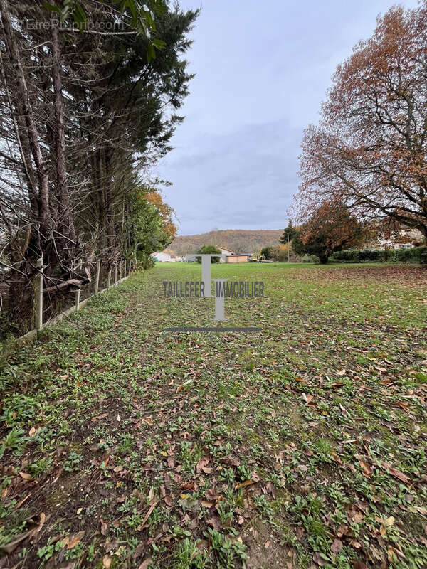 Terrain à ANTONNE-ET-TRIGONANT