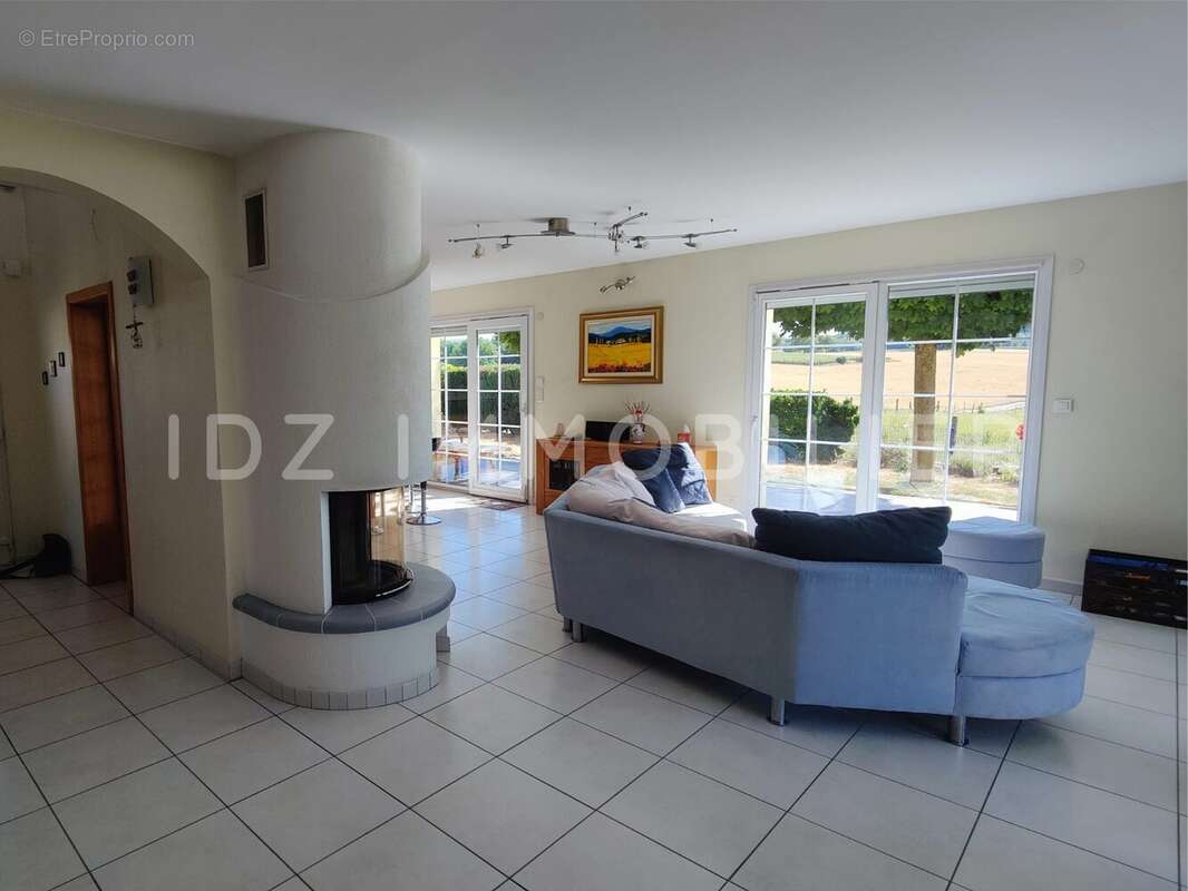 Maison 170 m² à Hegenheim  - photo 4
