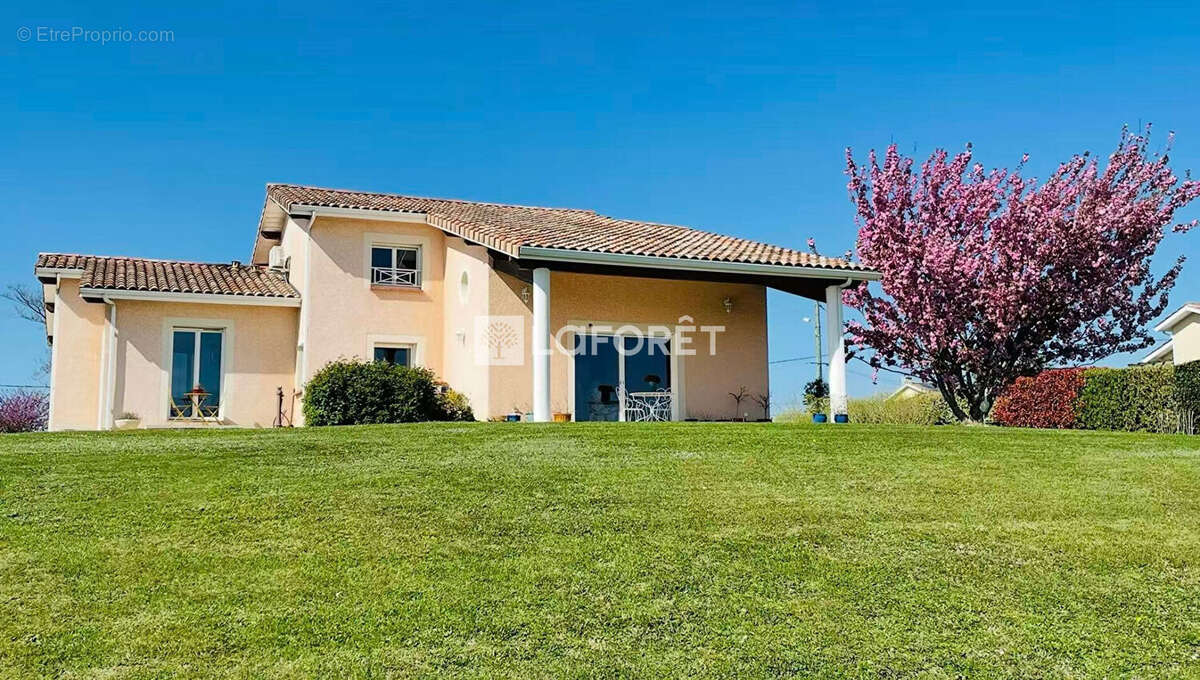 Maison à VILLEMUR-SUR-TARN