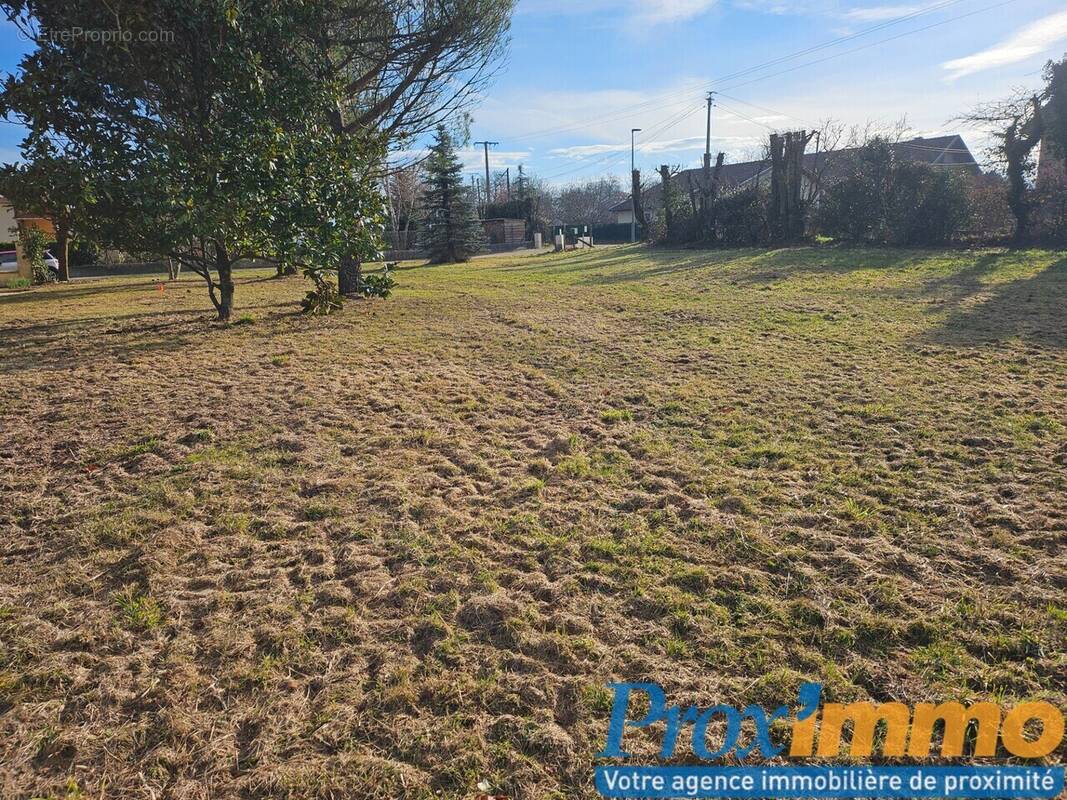 Terrain à LA FRETTE