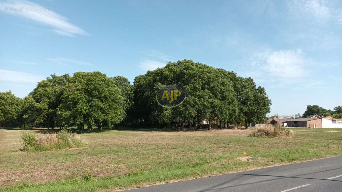 Terrain Constructible - Soulac Sur Mer 698 m2 - photo 2