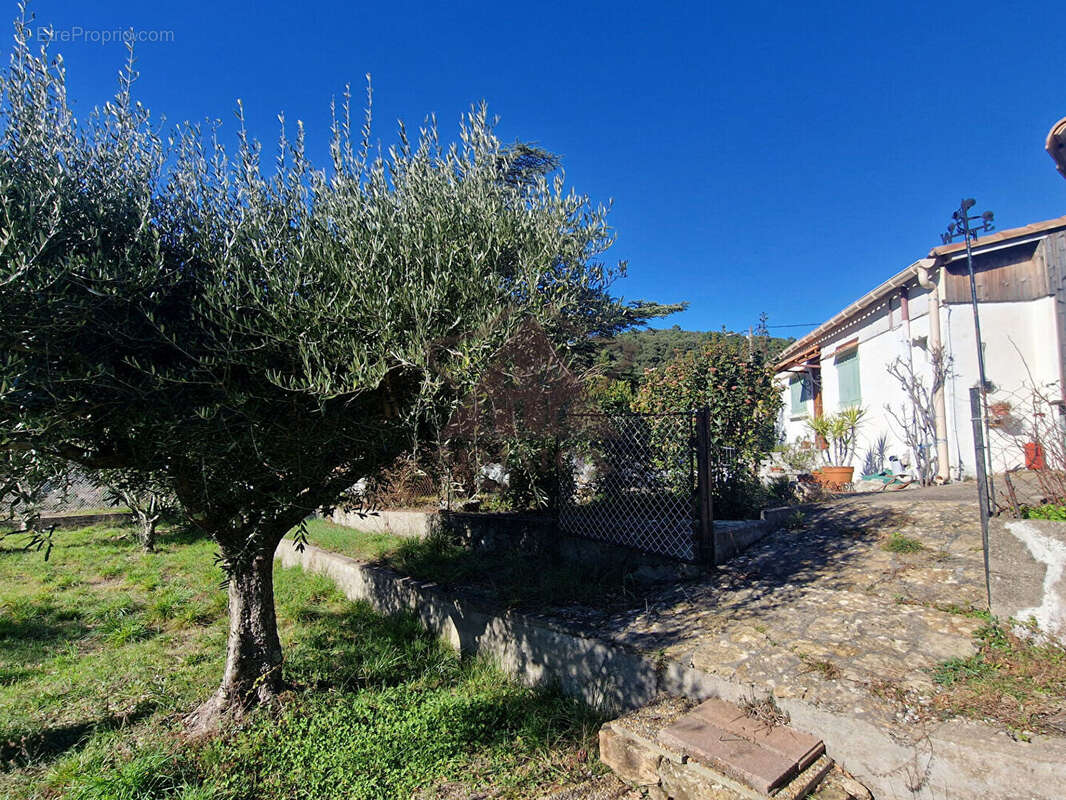 Exclusivité - Maison de plain pied dans un superbe environnement - photo 15