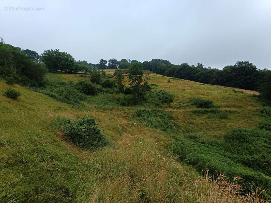 Corps de ferme - photo 10
