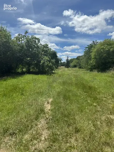 Luzillé   4 600 m2 de terrain, calme absolu et fort potentiel ! - photo 5