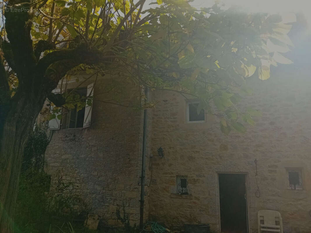arriere de la maison 