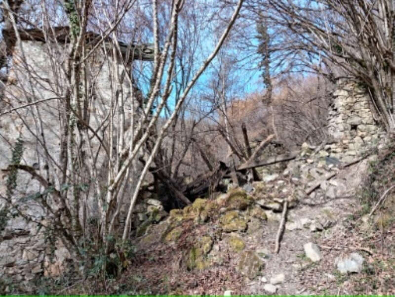 Parcelles agricoles, granges et ruines - photo 4