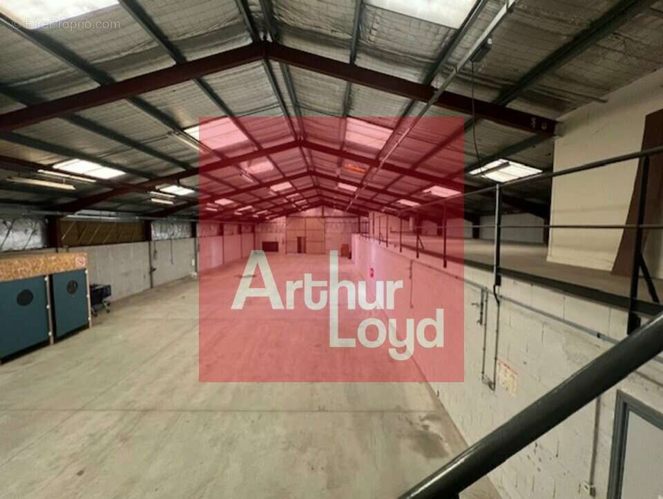 2185 m² à Saint-Etienne-De-Fougeres  - photo 3