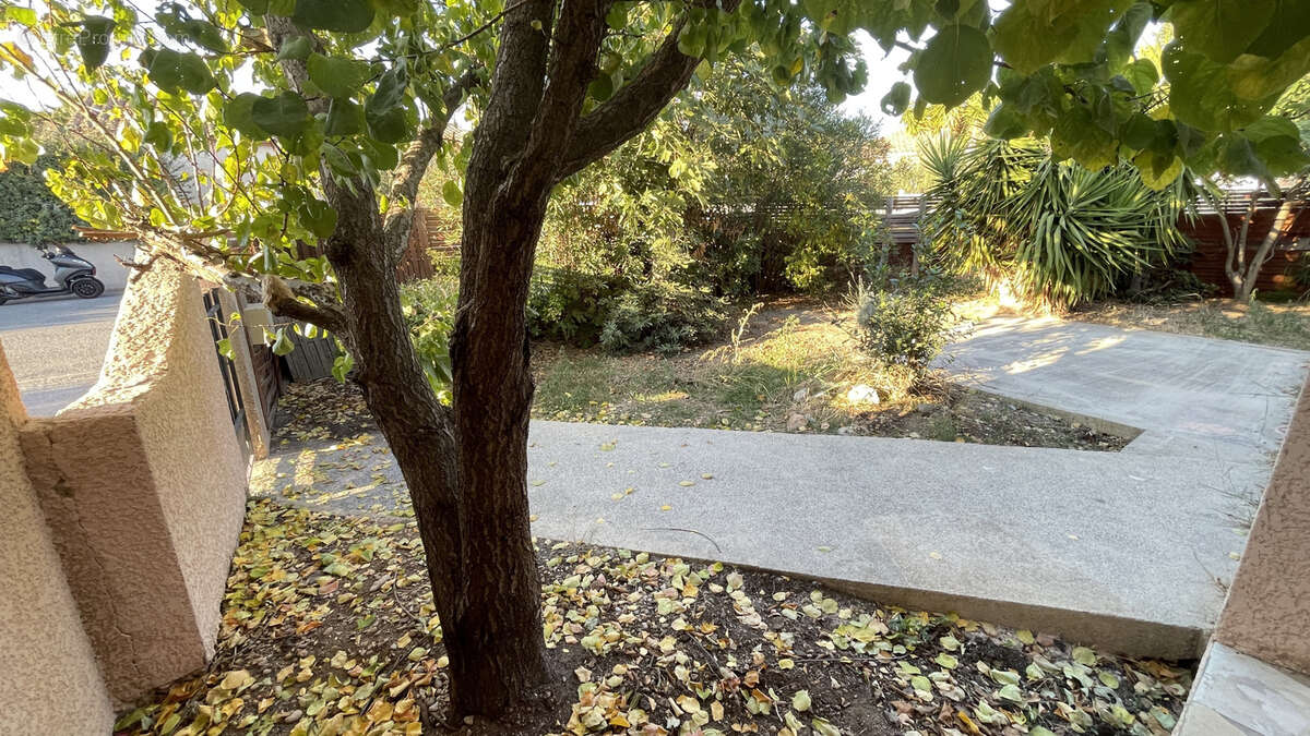 Maison à FRONTIGNAN