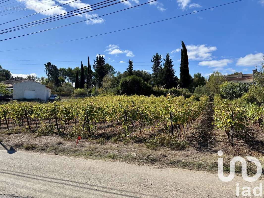 Photo 3 - Terrain à LORGUES