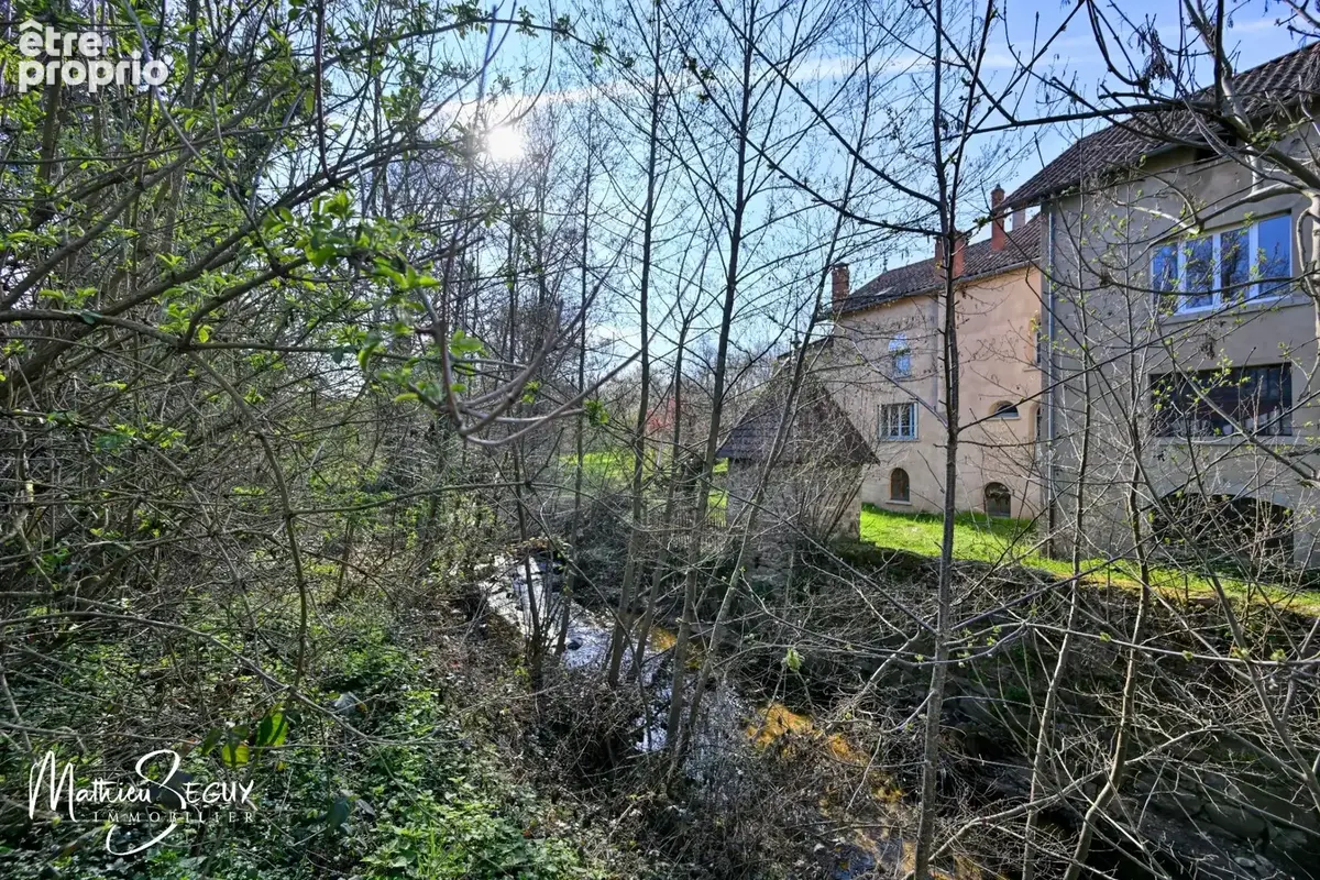Ancien Moulin sur 1,3 Ha de terrain à MESSIMY (69) - photo 26