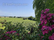 Maison à SAINT-THIERRY