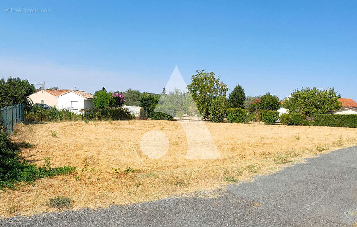 Terrain 886 m² lescure d'albigeois - photo 4