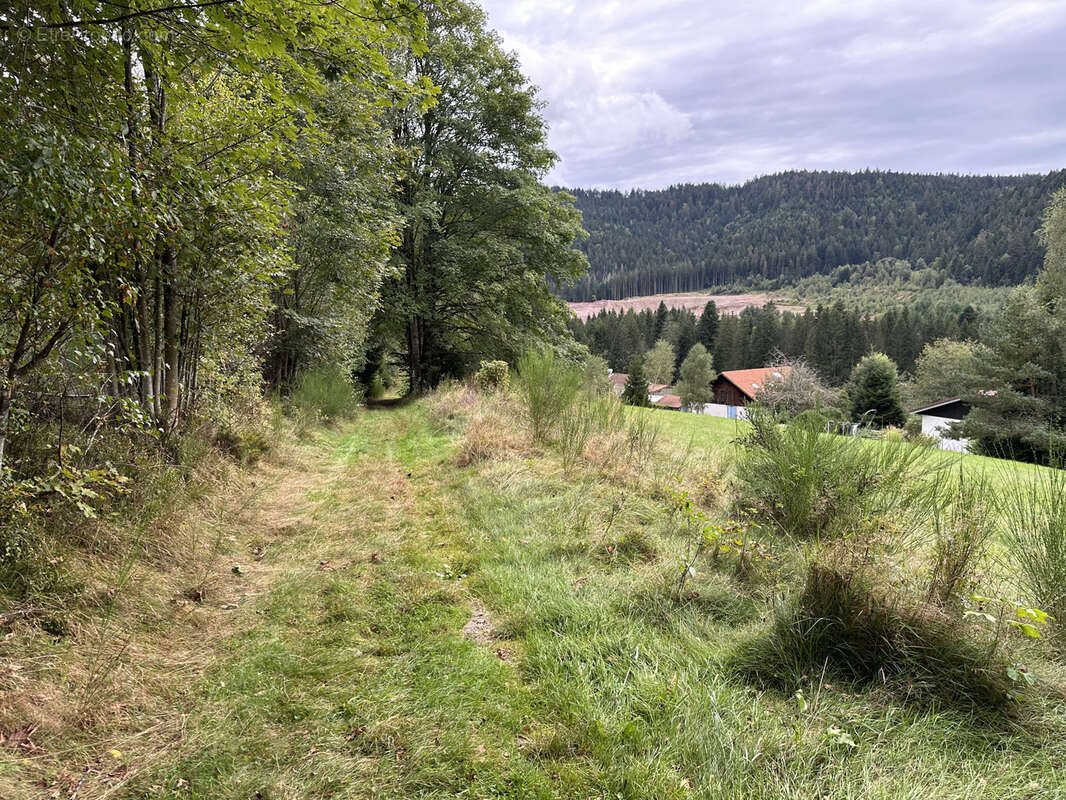 Terrain à GERARDMER