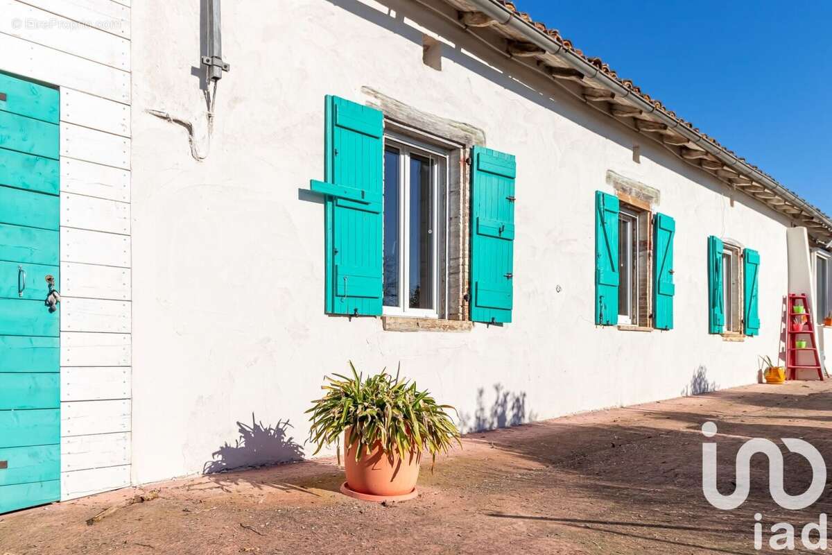 Photo 6 - Maison à MONTGAILLARD