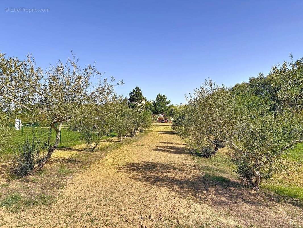 Photo 9 - Maison à COURRENSAN