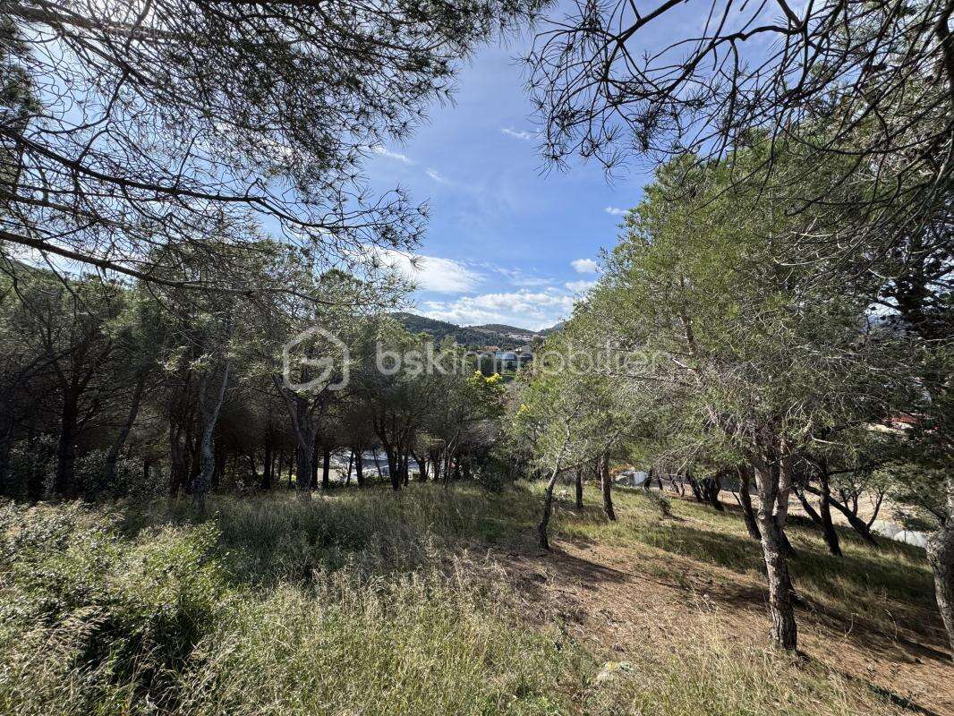 Terrain à PORT-VENDRES
