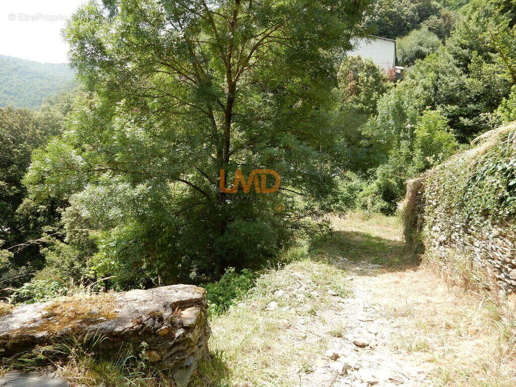 Maison à SAINT-ANDRE-DE-VALBORGNE