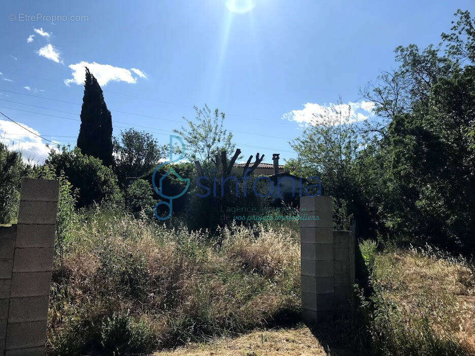 Saint-jean-de-védas   propriété rare à réhabiliter sur 4 835 m2 - photo 2