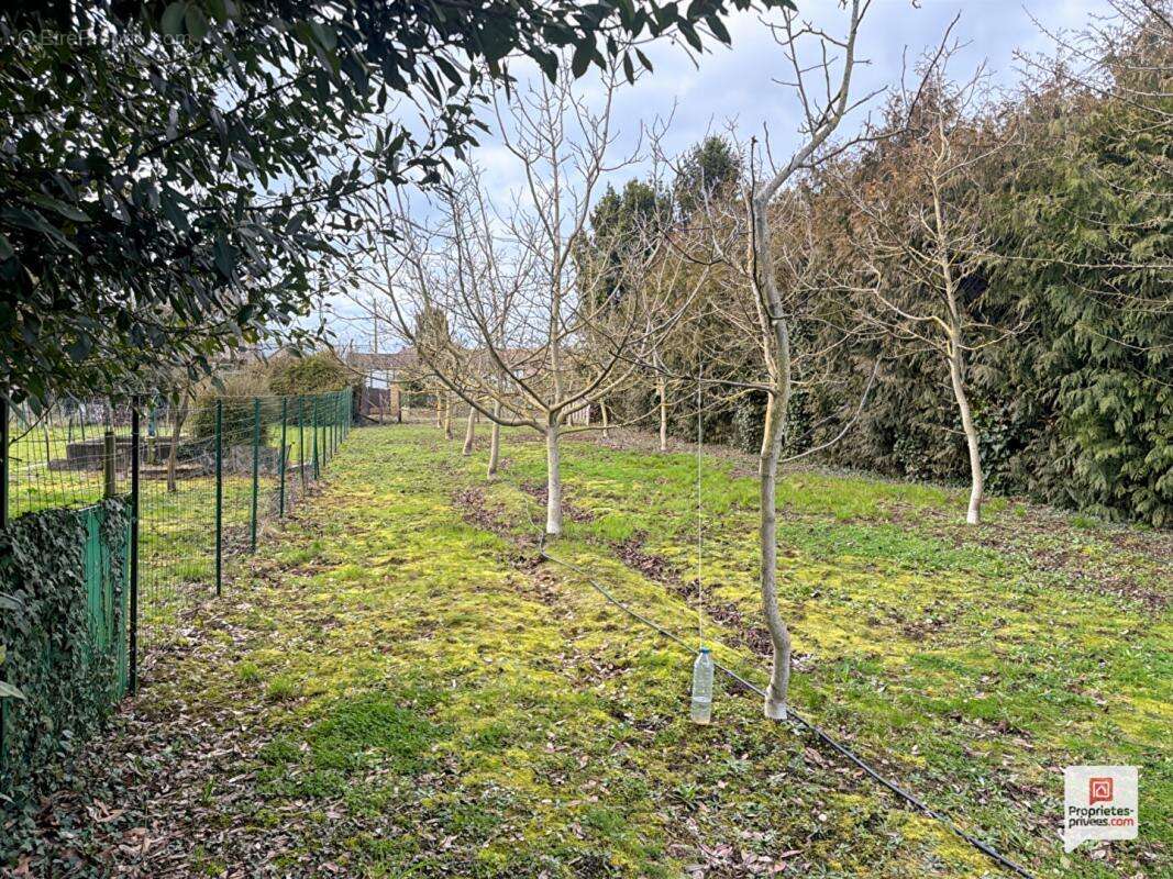 Terrain à SABLE-SUR-SARTHE