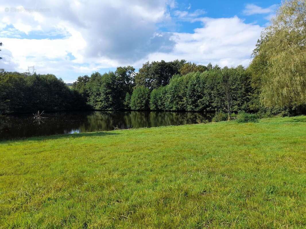 Photo 6 - Maison à LA PACAUDIERE