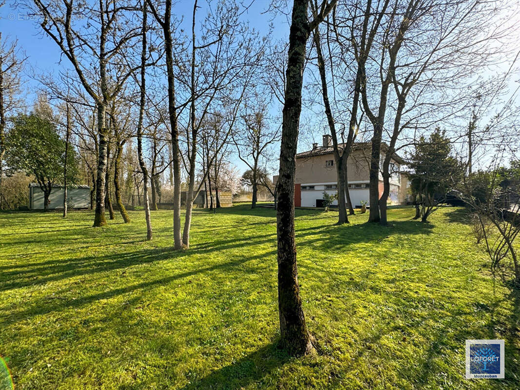 Maison à MONTAUBAN