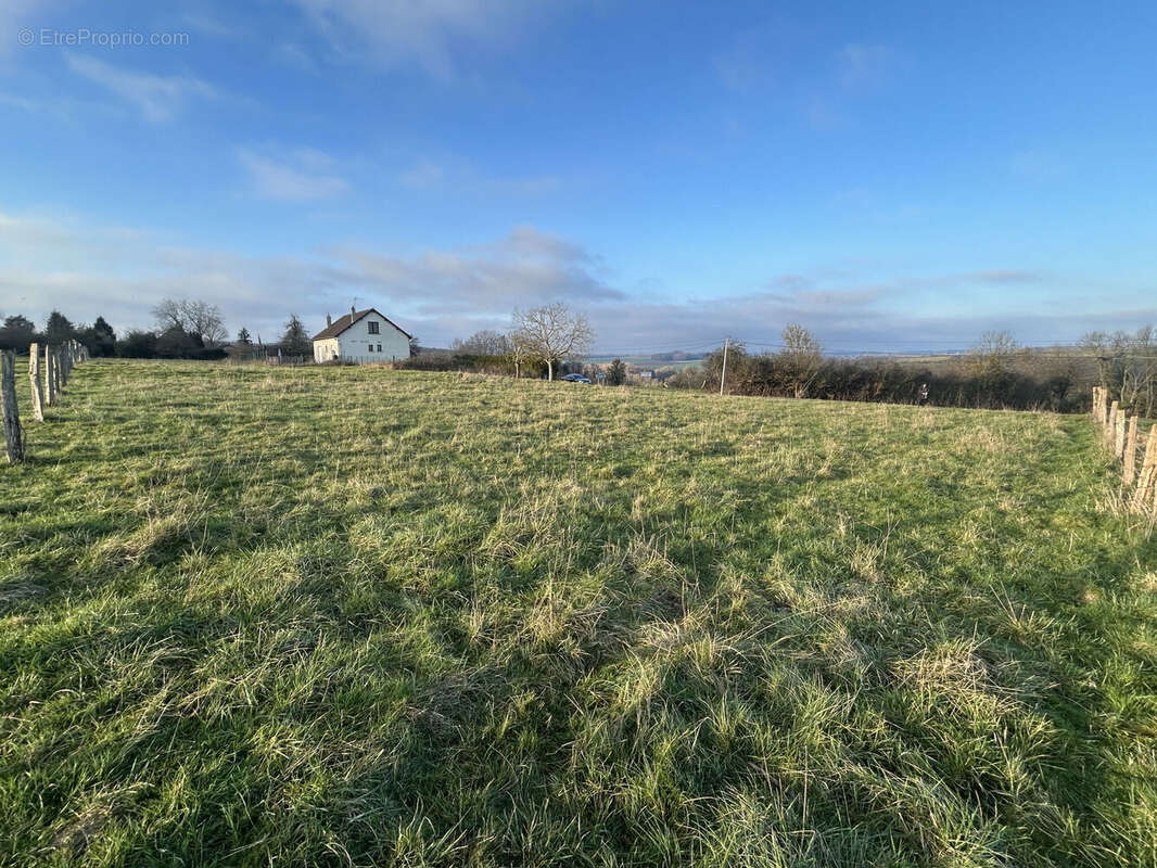 Photo 3 - Terrain à LA FERTE-GAUCHER