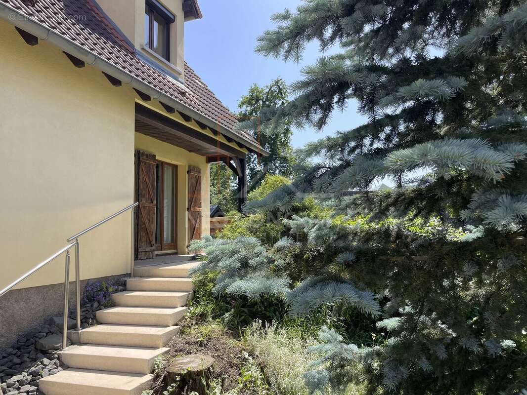 Maison à HAGUENAU