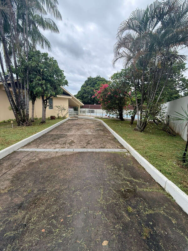 Maison à CAYENNE