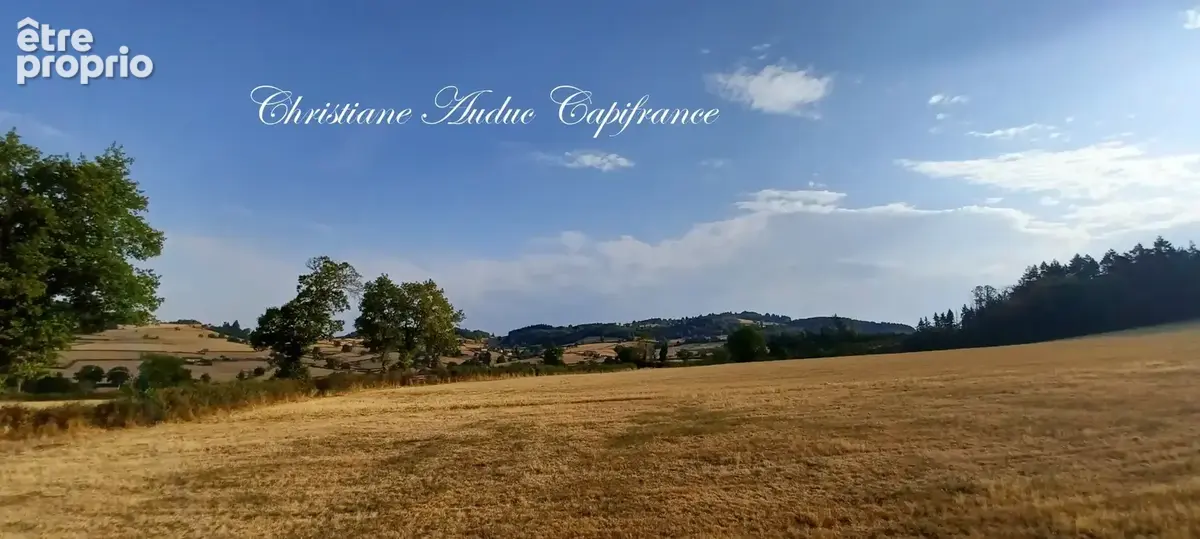 Suin, Ancien corps de ferme en pierre, de 133 m², avec fort potentiel de développement, sur 1 500 m² de terrain - photo 7