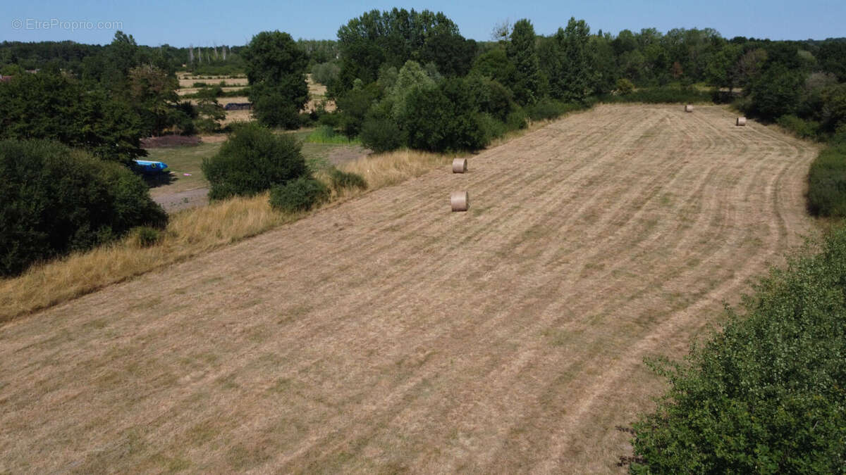Terrain a batir à pruniers en sologne - photo 5